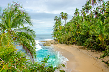 Fototapeta na wymiar Wild caribbean beach of Costa Rica - Manzanillo