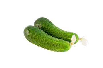 Pair of cucumbers with flowers isolated on a white background