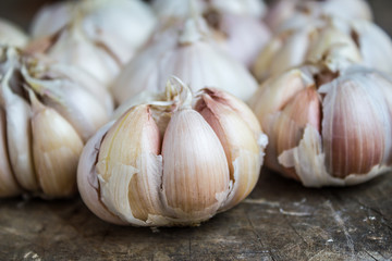 Garlic on the wooden background