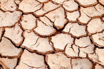 Cracked soil surface