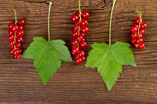 redcurrant berries and leaves over old wooden background