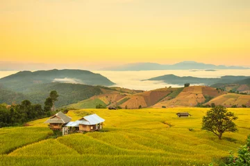 Foto auf Acrylglas Sunrise at Terraced Paddy Field in Mae-Jam Village , Chiang Mai Province , Thailand © Southtownboy Studio