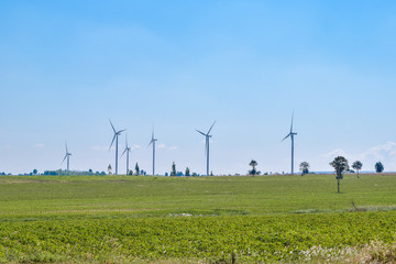 Fototapeta na wymiar windmill and farm