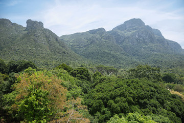 View of mountains from Kirstenbosch botanical gardens, South Africa