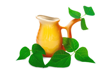 jug and green leaves, still life