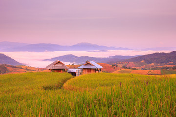 Fototapeta na wymiar Sunrise at Terraced Paddy Field in Mae-Jam Village , Chiang Mai Province , Thailand