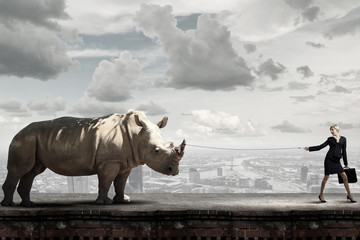 Obraz premium Protect animals