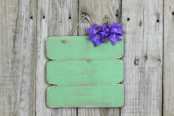 Blank rustic green sign with purple balloon flowers
