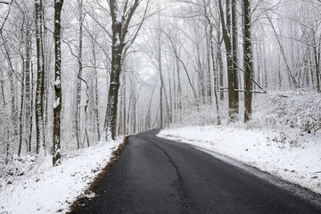 Winter Road with Curve in Forest