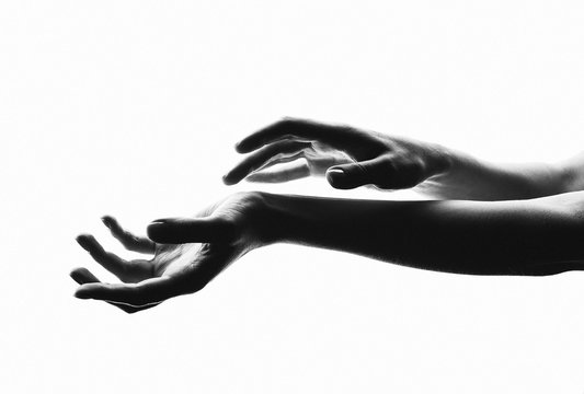 Silhouette of female hands on white background