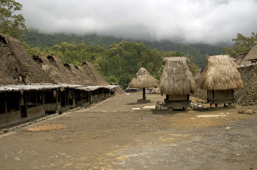 Fototapeta na wymiar traditional village Bena village on Flores Island Indonesia
