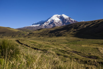 Fototapeta premium Chimborazo volcano and paramo