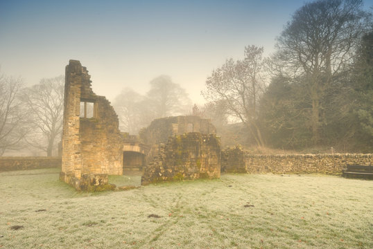 Misty Winter Ruins 