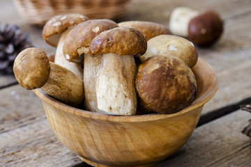 group of porcini mushrooms