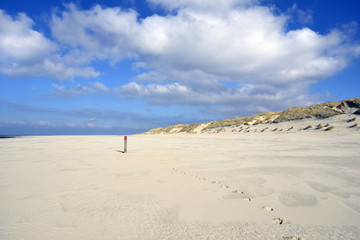 beach Terschelling, The Netherlands