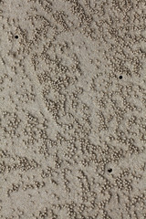 background texture of pebble stone beach