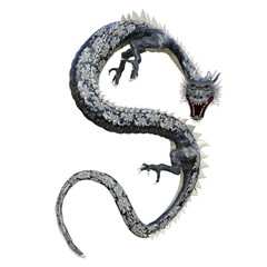 Obraz premium ドラゴン 