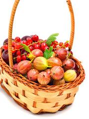 Berries in the basket isolated on white