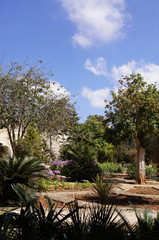 jardins du Palais Saint-Antoine 