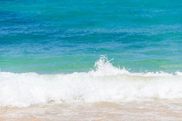 Fototapeta premium Ocean and tropical sandy beach background