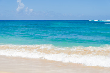 Ocean and tropical sandy beach background