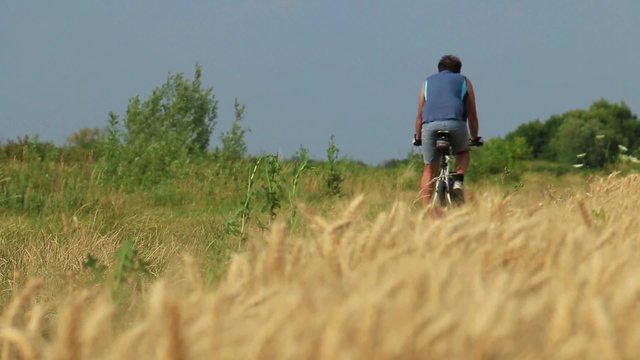 cyclist riding mountain bike in a field of wheat