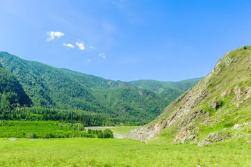 Fototapeta premium Mountain valley with river in Altai in summer