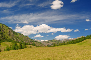 Fototapeta na wymiar Highland meadow, sky and clouds in Altai mountains in summer
