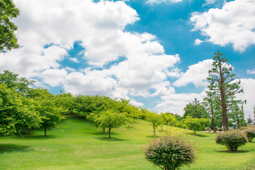 青空と公園