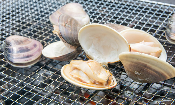 ハマグリ の画像 2 033 件の Stock 写真 ベクターおよびビデオ Adobe Stock