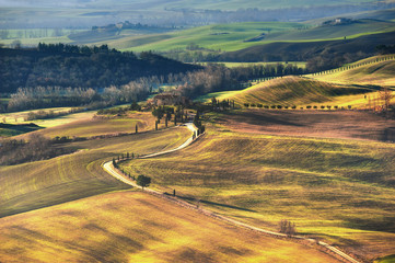 Fantastic scenery painted light in Tuscany with long shadows