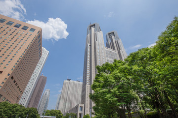 Fototapeta premium 東京都庁