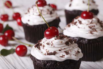 Chocolate cupcakes with white cream and cherry, horizontal macro
