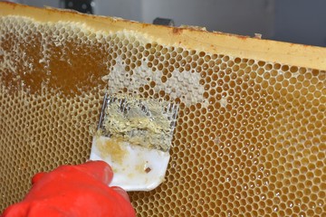 tool for opening honeycombs