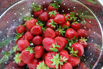 Freshly washed strawberries in a colander.