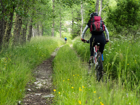 Woman riding mountain bike in the forest.