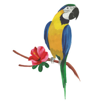 Isolated watercolor parrot with tropical flowers and leaves.