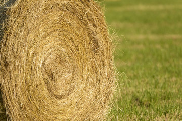 bale of hay in farmland