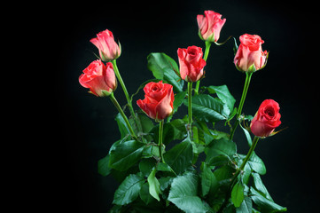 Rose flowers bouquet