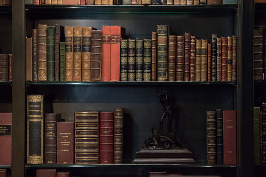 Antique and rare Books Shelf