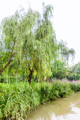 Park in Jiangyin