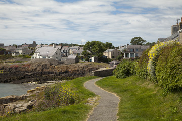 Fototapeta na wymiar The Village of Moelfre, Anglesey