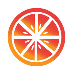 Orange fruit icon