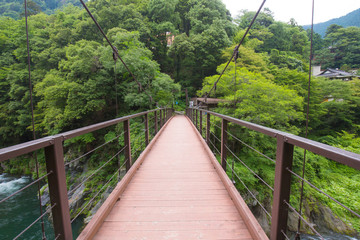 Fototapeta na wymiar 奥多摩の吊り橋
