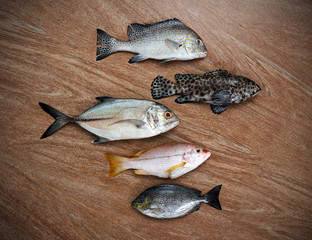 Fresh fish assortment