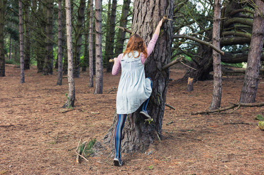 Young woman climbing a tree