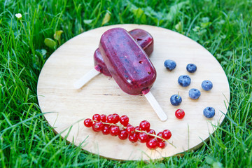 Homemade ice cream pops with different berries