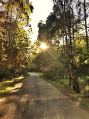 sunny way 