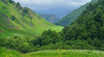 Fototapeta na wymiar Caucasus in summer