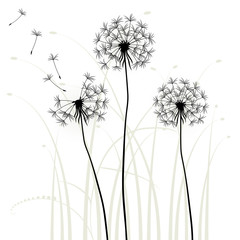 Abstract background with dandelions